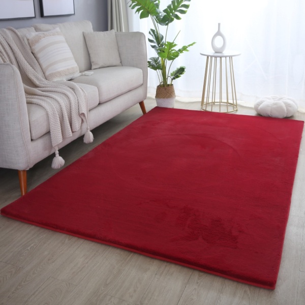 Soft Bedroom Red Rug I Bright Area Rug for Modern Dcor